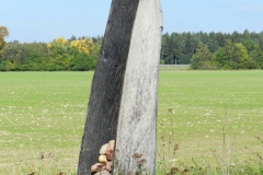 70