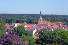 p1030291