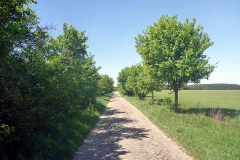 p1030317
