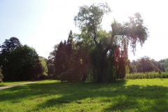 dscn3402
