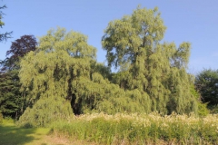 dscn3403