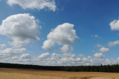 dscn3419