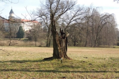 dscn3819