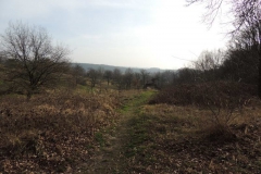 dscn3856