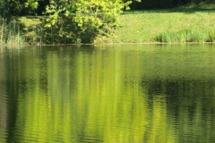 cimg1793_800x600
