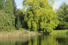cimg1794_800x600