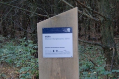 cimg1812_800x600
