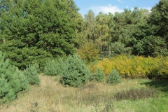 cimg1846_800x600