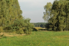 cimg1854_800x600