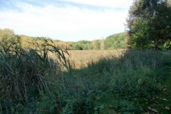 cimg1870_800x600