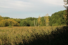 cimg1871_800x600