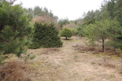 dscn2697