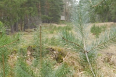 dscn4120