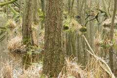 dscn4145