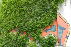 dscn0991_800x600