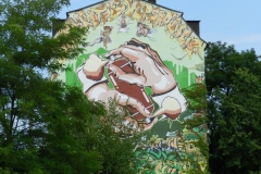 dscn1003_800x600