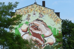 dscn1004_800x600