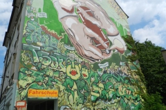 dscn1006_800x600