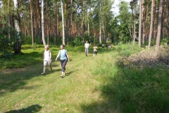 p1000817
