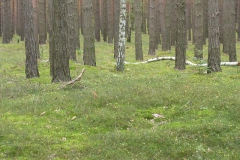 p1030019