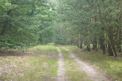 p1030024