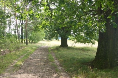 p1030028