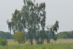 p1030032