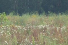 p1030033