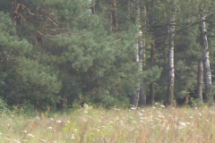 p1030034