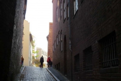 img_1263 img_1263