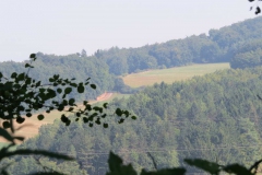 img_0723