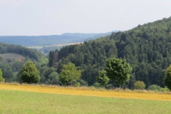 img_0781