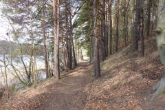 p1000484_copy