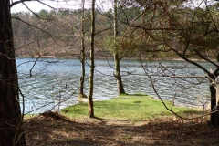 p1000485_copy