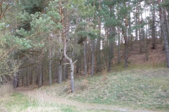p1000491_copy
