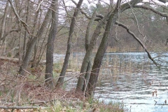 p1000498_copy