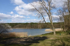 p1000508_copy