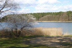 p1000511_copy
