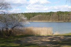 p1000512_copy