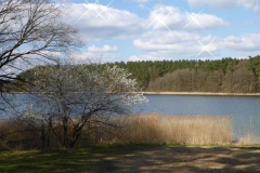 p1000513_copy