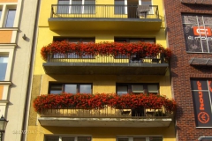 polentour48_