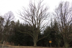 dscn5756