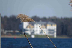 img_1422