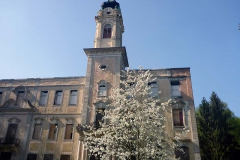 p1030223