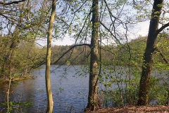 p1030227