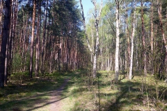 p1030233