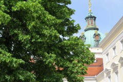 IMG_0001