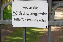 IMG_0029