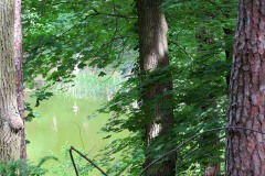 IMG_0049