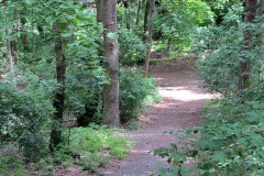 IMG_0050